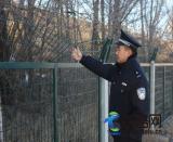 商都所開展線路隱患排查工作