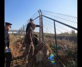 商都所深入沿線開展線路隱患排查及愛路護(hù)路宣傳工作