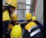 ���F�������d����܇վ�ɳ����e�O�_չ����̎ͻģ�M��