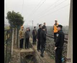 ��(sh��)���{(di��o)�г����� ·��(li��n)�ֱ�ƽ��