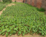 <strong>������˾��ɽ���؜�ܰС�ˈ@</strong>