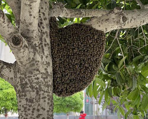 ��FԺ����̎���r����У��(n��i)�R��C����У�@��ȫ�[��