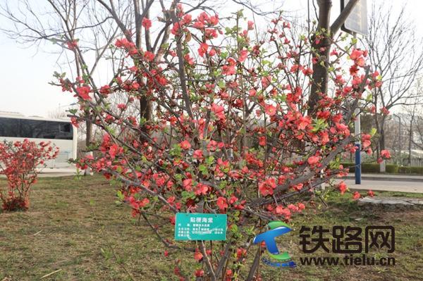 ȫ���Ը� ȫ�����o(h��)����FԺ���ڱ����c��ȫ���l(w��i)̎�A�M(m��n)